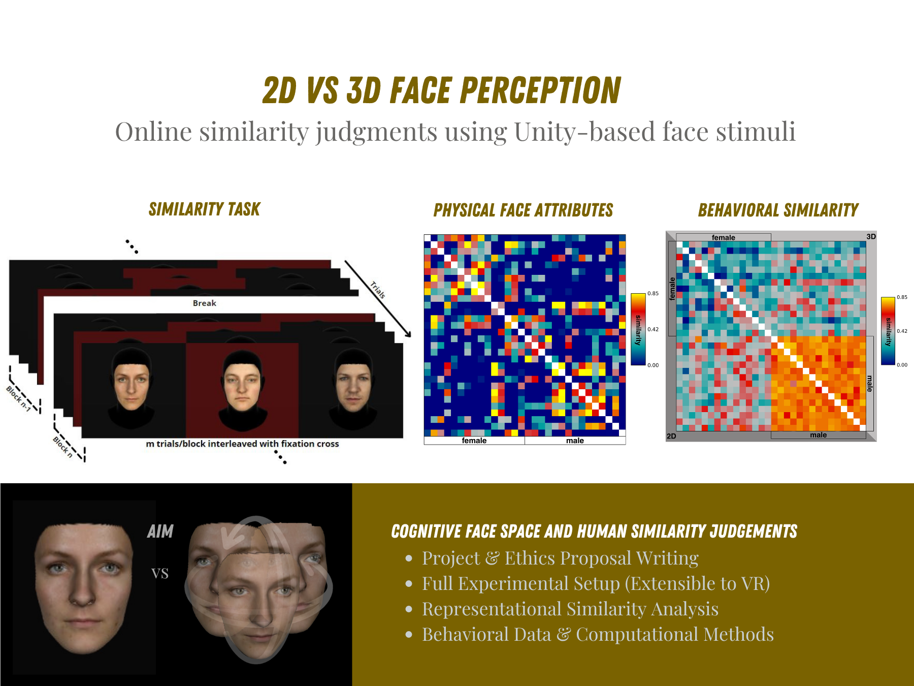 FaceSim3D poster summary showing 3D face stimuli and behavioral similarity matrices
