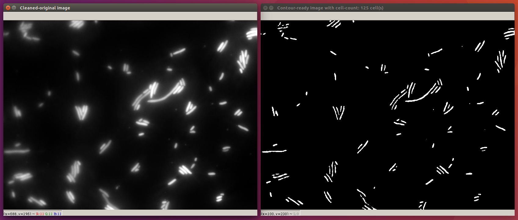 OpenCV automated cell-counting pipeline for GFP microscopy images of minicells and mother cells