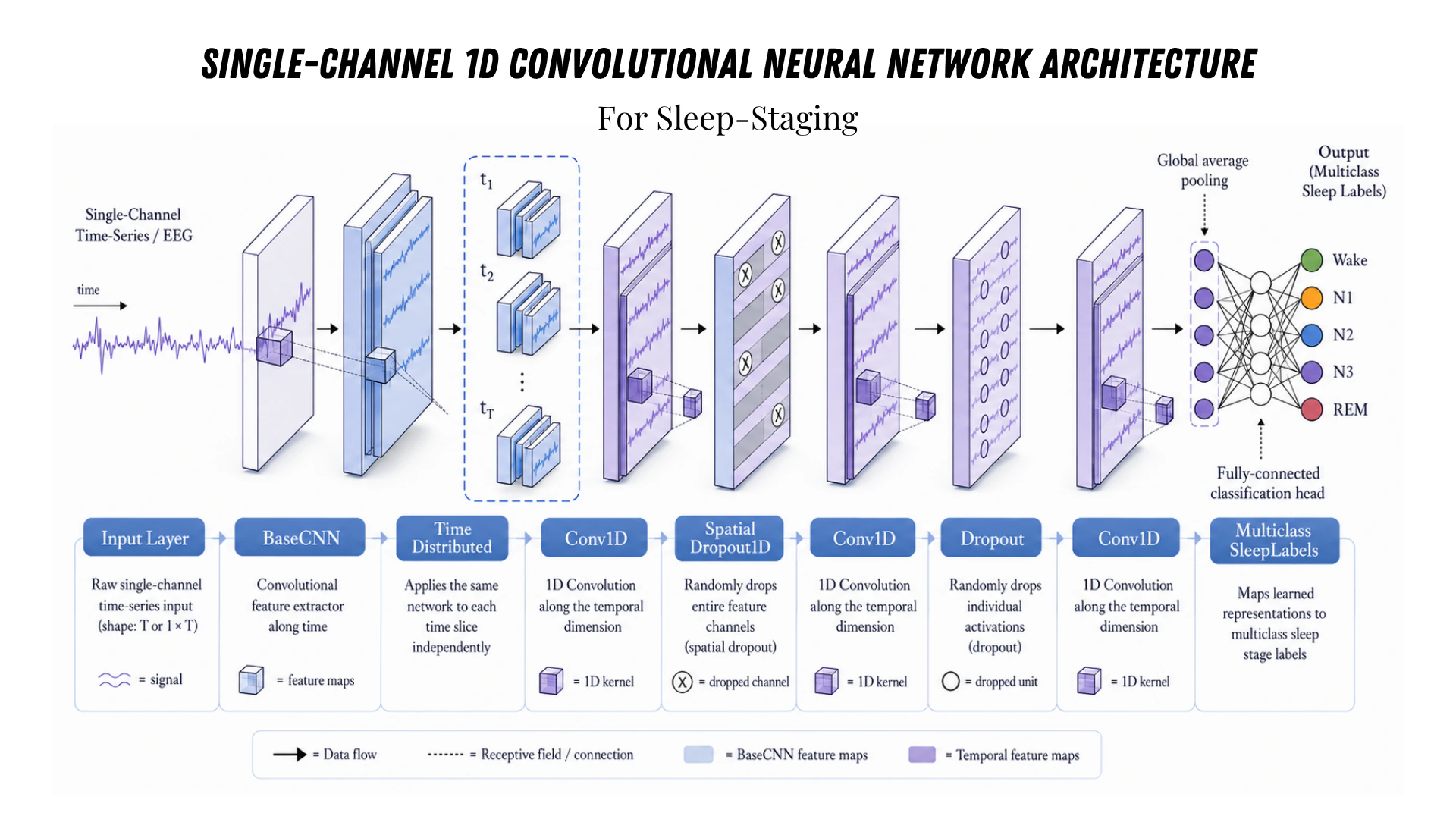 Single-channel 1D CNN architecture for real-time sleep staging
